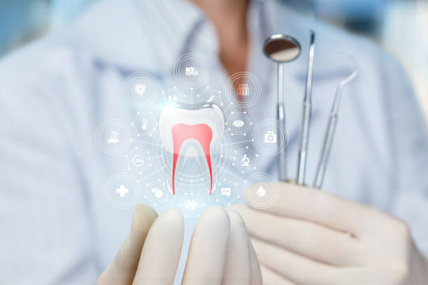 Best Cosmetic Dentistry  in Brighton, IL